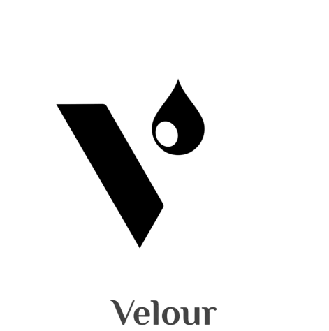 Velour лого, партньор